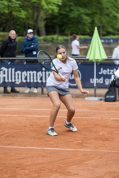 Bild 260 - BL DTV Hannover - BW Dresden Blasewitz : Ergebnis: 2:7